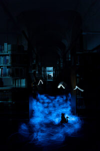 Lightpainting in der bibliothek. Fliegende Bücher über blauem Nebel mit schwarzer Katze